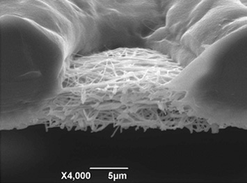 Fig. 6: Cross-section of dual-layer composite nanofiber nonwoven fabric