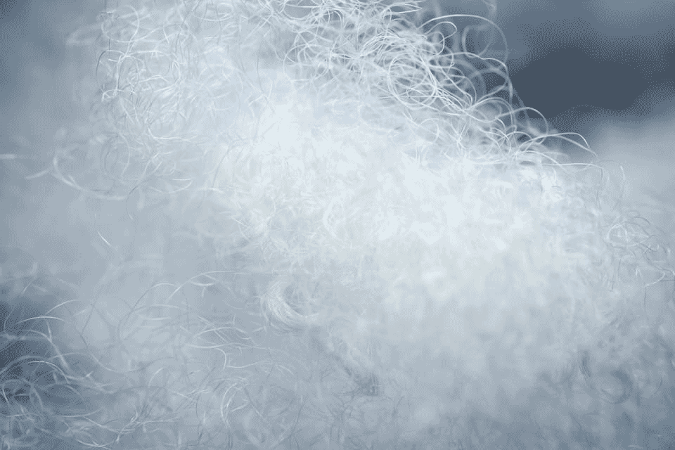 Nonwoven fabric roll
