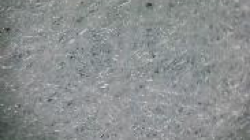 Polyphenylene Sulfide (PPS)