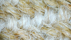 Wool