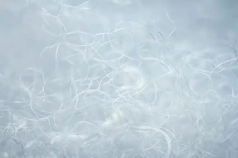 Polyethylene Terephthalate Fibers
