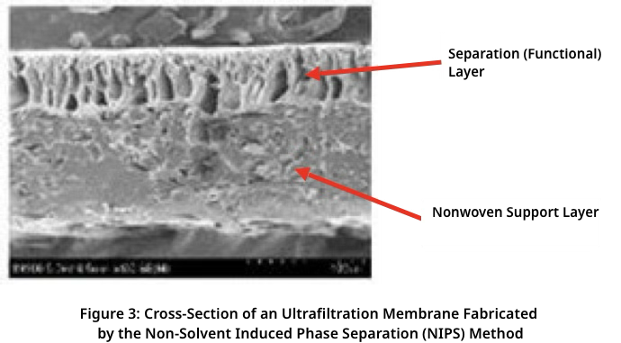 Figure 3: Cross-section of an Ultrafiltration Membrane Made by NIPS Method
