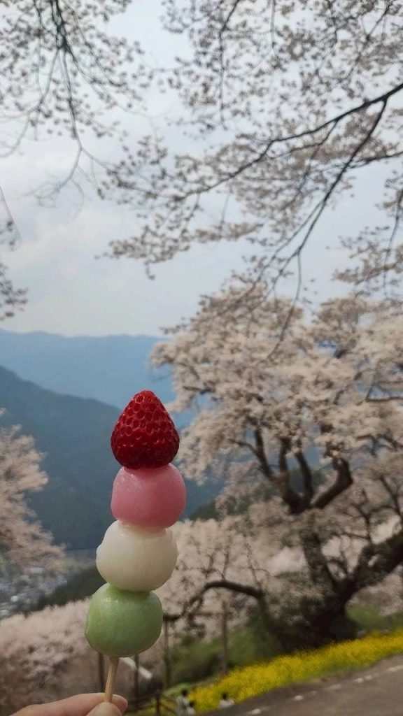 Snacks enjoyed during cherry blossom viewing