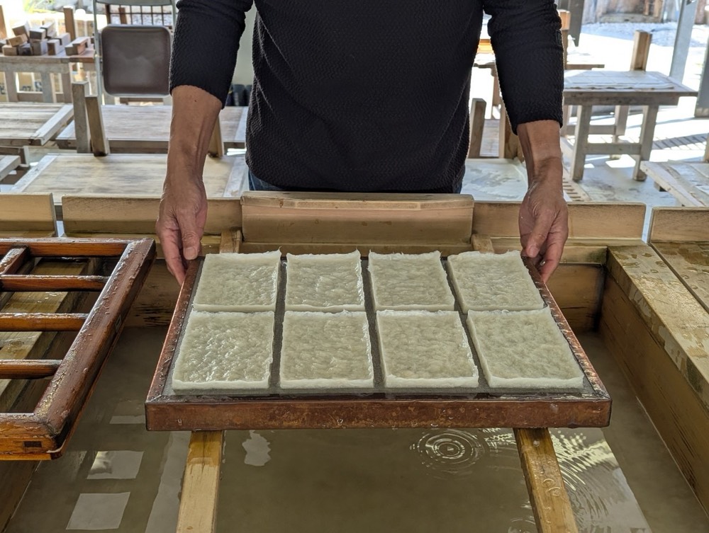 Freshly formed sheet resembling soft tofu